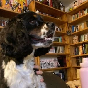 Meet your Posher, Victoria